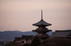観光都市、京都の裏と表！　観光客のマナー悪化